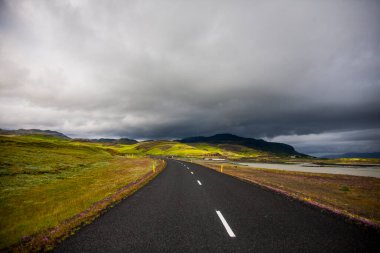 Güney İzlanda, Avrupa 'da yaz manzarası ve yol.