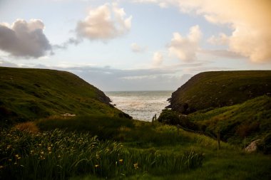 İrlanda topraklarında bahar manzarası.