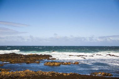 İrlanda topraklarında bahar manzarası.