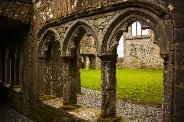 Bective Abbey 'de Bahar (Mainistir Bheigti), İrlanda.