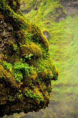 Skogafoss Şelalesi 'nde yaz manzarası, Güney İzlanda, Avrupa.