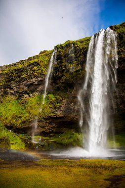 Seljalandsfoss Şelalesi 'nde yaz manzarası, Güney İzlanda, Avrupa.