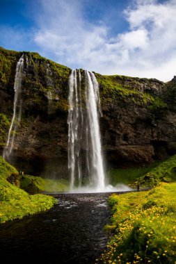 Seljalandsfoss Şelalesi 'nde yaz manzarası, Güney İzlanda, Avrupa.