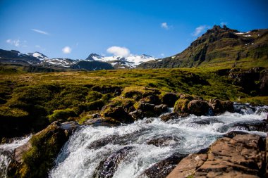 Güney İzlanda, Avrupa 'da yaz manzarası.