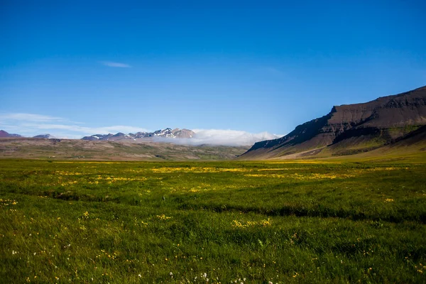 Paisagem Verão Sul Islândia Europa — Fotografia de Stock