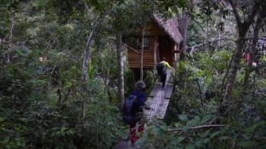 Yungas, Andes, Bolivya 'daki dağ manzaraları ve tropikal kulübe