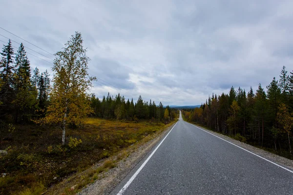 Muonio Laponya Finlandiya Sonbahar Manzarası — Stok fotoğraf