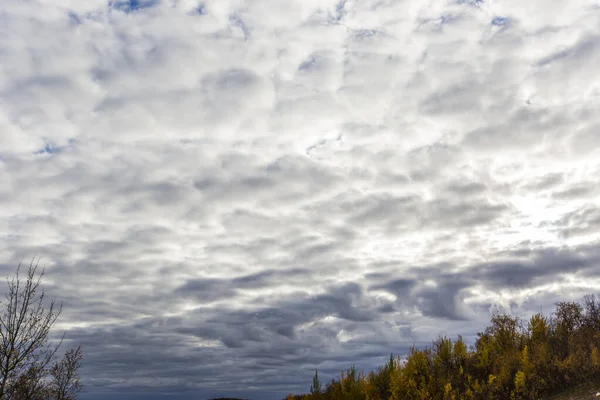 Herbstlandschaft Der Tundra Nordnorwegen Europa — Stockfoto