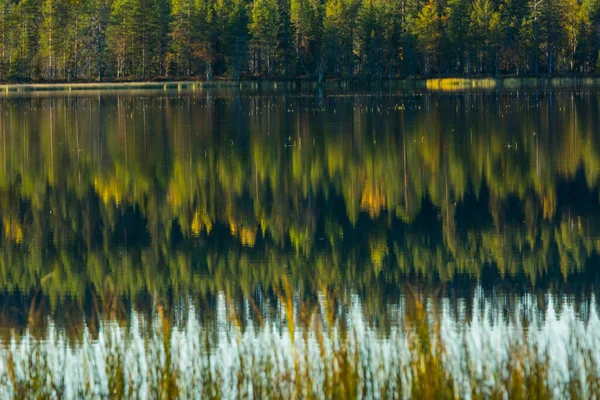 Őszi Táj Muonio Lappföld Finnország — Stock Fotó