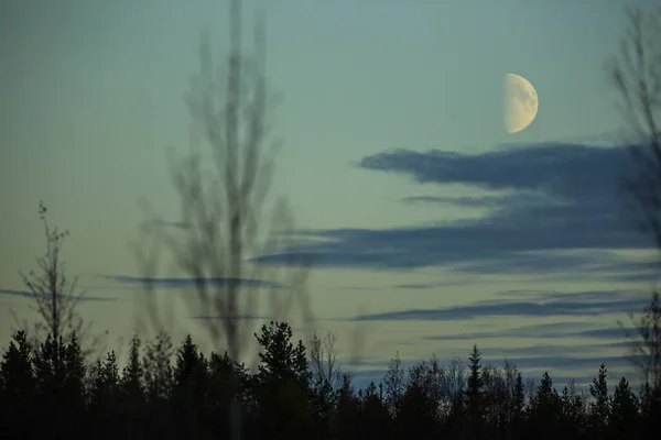 Осенний Пейзаж Муонио Лапландия Финляндия — стоковое фото