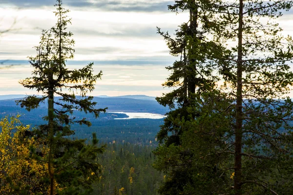 Höstlandskap Yllas Pallastunturi Nationalpark Finland — Stockfoto