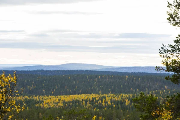 Paisagem Outono Parque Nacional Yllas Pallastunturi Finlândia — Fotografia de Stock