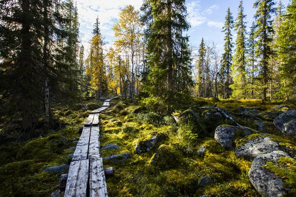 Podzimní Krajina Národním Parku Yllas Pallastunturi Finsko — Stock fotografie