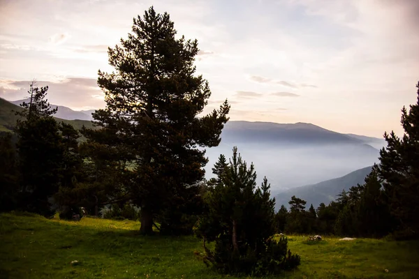 Zomer Landschap Cerdanya Pyreneeën Spanje — Stockfoto