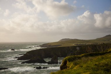 İrlanda topraklarında bahar manzarası.