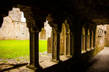 Bective Abbey 'de Bahar (Mainistir Bheigti), İrlanda.