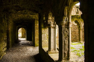 Bective Abbey 'de Bahar (Mainistir Bheigti), İrlanda.