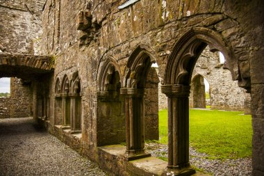 Bective Abbey 'de Bahar (Mainistir Bheigti), İrlanda.