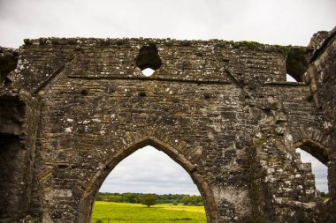 Bective Abbey 'de Bahar (Mainistir Bheigti), İrlanda.