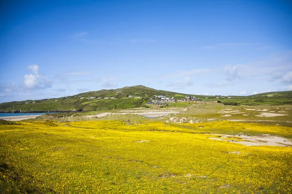 Paisaje Primaveral Las Tierras Irlanda —  Fotos de Stock