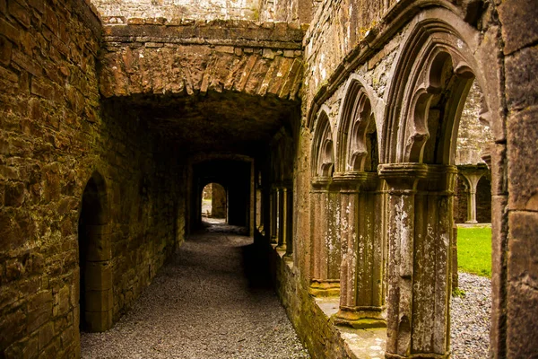 Bective Abbey Bahar Mainistir Bheigti Rlanda — Stok fotoğraf