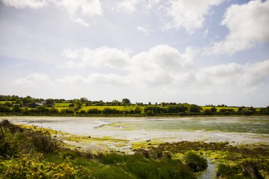 İrlanda topraklarında bahar manzarası.