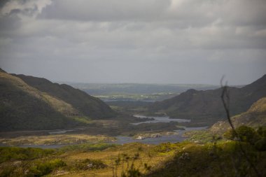 İrlanda topraklarında bahar manzarası.