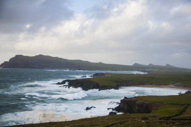 İrlanda topraklarında bahar manzarası.