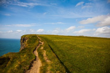 Anne Kayalıkları 'ndaki bahar manzarası (Aillte An Mhothair), İrlanda.