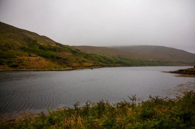 İrlanda topraklarında bahar manzarası.