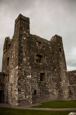 Bective Abbey 'de Bahar (Mainistir Bheigti), İrlanda.
