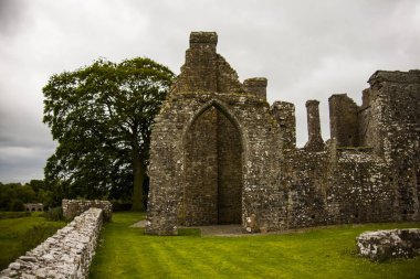 Bective Abbey 'de Bahar (Mainistir Bheigti), İrlanda.