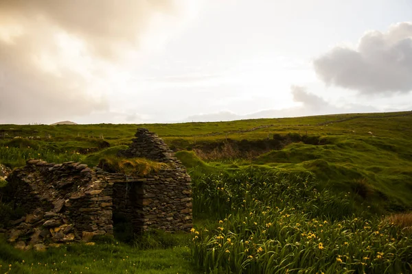 Paisaje Primaveral Las Tierras Irlanda —  Fotos de Stock