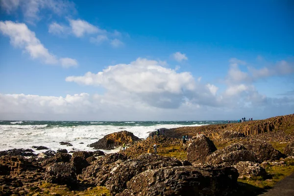 Paesaggio Primaverile Giant Causewat Irlanda Del Nord — Foto Stock