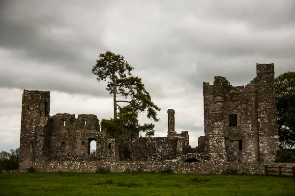 Primavera Abadía Bective Mainistir Bheigti Irlanda — Foto de Stock