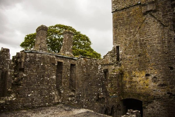 Lente Bective Abbey Mainistir Bheigti Ierland — Stockfoto