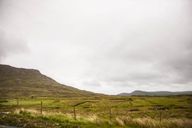 İrlanda topraklarında bahar manzarası.