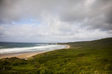 İrlanda topraklarında bahar manzarası.