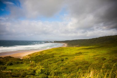 İrlanda topraklarında bahar manzarası.