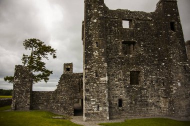 Bective Abbey 'de Bahar (Mainistir Bheigti), İrlanda.