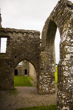 Bective Abbey 'de Bahar (Mainistir Bheigti), İrlanda.