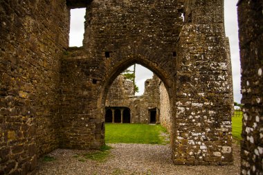 Bective Abbey 'de Bahar (Mainistir Bheigti), İrlanda.