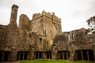 Bective Abbey 'de Bahar (Mainistir Bheigti), İrlanda.