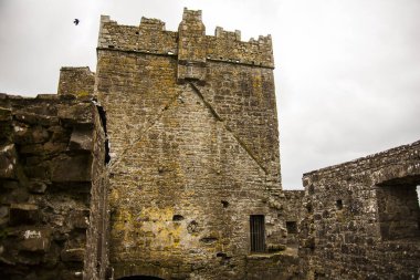 Bective Abbey 'de Bahar (Mainistir Bheigti), İrlanda.