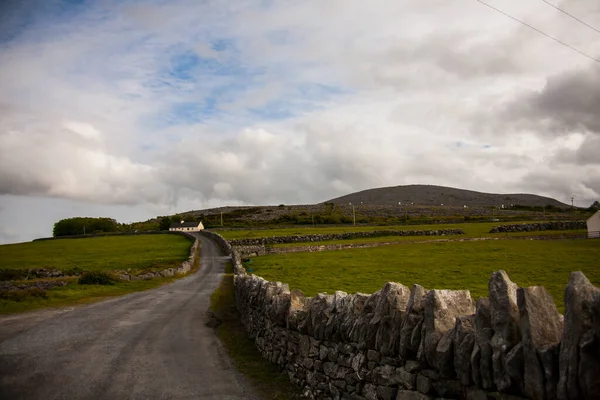 Paisaje Primaveral Las Tierras Irlanda —  Fotos de Stock