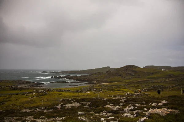 Paisaje Primaveral Las Tierras Irlanda —  Fotos de Stock