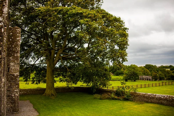 Tavasz Bective Abbey Ben Mainistir Bheigti Írország — Stock Fotó