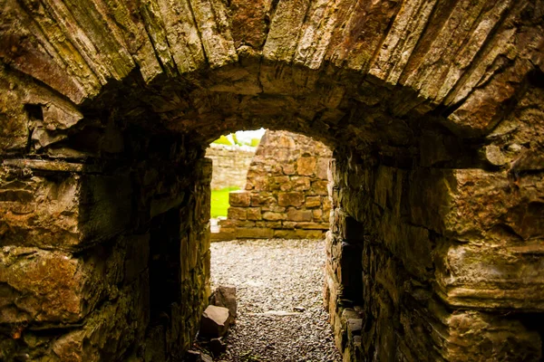 Άνοιξη Στο Bective Abbey Mainistir Bheigti Ιρλανδία — Φωτογραφία Αρχείου