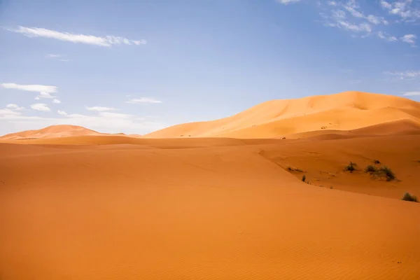 Dry Landscape Dunes Sahara Desert Morocco — Stock Photo, Image