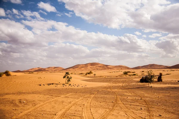 Droge Landschap Duinen Sahara Woestijn Marokko — Stockfoto